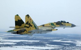 Trung Quốc lo Nga cài thiết bị gián điệp trên Su-35