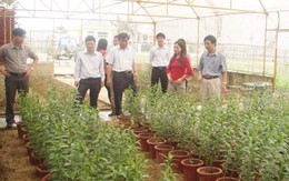 “Đại gia” khốn, sinh vật cảnh khó theo