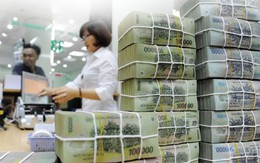 Một nữ ca sĩ Việt bị truy thu thuế 1 tỷ 254 triệu đồng
