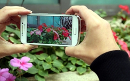 Smartphone sẽ tích hợp camera lên tới 55MP