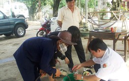 Sau khi đổ xăng, hàng loạt xe chết máy