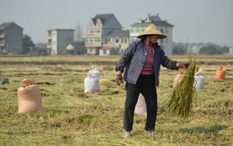 Thực chất chiến lược 'hướng Tây' của Trung Quốc