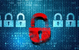 Trang web của Chính phủ, Ngân hàng trung ương Nga bị đánh sập