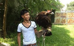 Đại gia Hà Nội chơi sang nuôi đại bàng chục ngàn đô