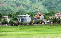 Vườn Thạch Thất, đất Đông Anh: Nơi 'chôn' tiền ngân hàng