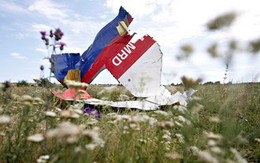 Lãnh đạo ngành hàng không quốc tế họp khẩn sau vụ MH17