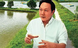 Người tình 'tin đồn' ca sĩ Mỹ Tâm: Khẳng định vị thế đại gia