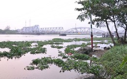 Liên tiếp phát hiện xác chết trôi dạt trên sông Sài Gòn