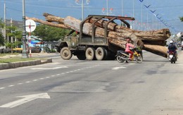 Xe chở gỗ "siêu khủng" ngông nghênh đường phố