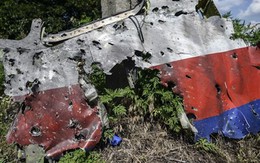 Nga: Chứng cứ của Mỹ về MH17 toàn dựa trên mạng xã hội