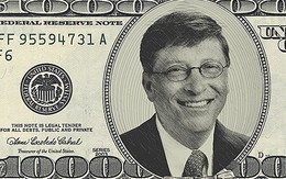 Nhiều đại gia Việt đang ‘bắt chước’ mô hình đầu tư Bill Gates?