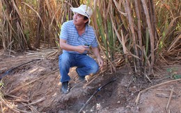 Học Israel, bầu Đức chọn chuyên gia khác Bộ Công thương!