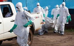 “Dịch Ebola có thể hoành hành như đại dịch AIDS”