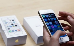 Steve Jobs đã sai khi chống lại "iPhone màn hình lớn"
