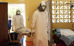 Việt Nam nâng cấp độ cảnh báo với dịch Ebola