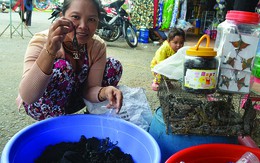 Chợ “độc” ở Tịnh Biên