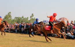 Năm Ngọ, xem “kỵ sĩ nông dân” đua ngựa