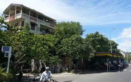 Chuyện đời đại gia Đà Nẵng nã súng vào đầu tự tử