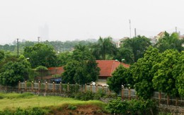 Đại gia bỏ phố, ra bãi sông Hồng cất nhà đón gió