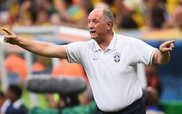 HLV Scolari “chày cối” đòi ở lại dẫn dắt Brazil