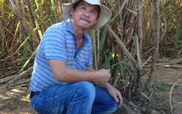 Tập đoàn, đại gia nào đang là "con nợ" "khủng" nhất?