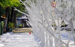 Con đường tuyết và công viên trắng tại Lễ hội Noel lớn nhất Việt Nam