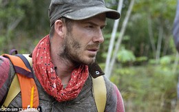 Nỗi khiếp sợ của David Beckham ở rừng rậm Amazon