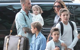 Rộ tin vợ Beckham sẽ sinh thêm em bé vì "cô út" Harper Seven