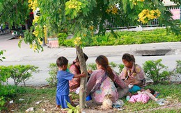 Chăn dắt trẻ ăn xin