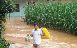 Mưa lớn gây ngập nặng nhiều nơi ở Bình Phước