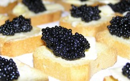 Các đại gia thường mang gì khi đi dã ngoại?