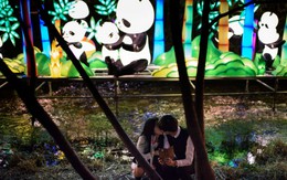 24h qua ảnh: Cặp đôi hôn nhau ở lễ hội đèn lồng Hàn Quốc