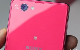 Trên tay Sony Xperia Z1 Compact Hồng: Nhỏ gọn, nữ tính, mạnh mẽ