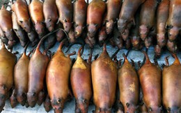 Chợ chuột "bắt mổ ngay" đầu cao tốc Cầu Giẽ - Ninh Bình