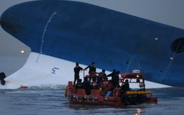 Nhân viên phà Sewol khai... uống bia khi phà chìm