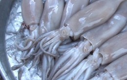 Mực lạ giá rẻ: Đã xác minh được nguồn gốc, xuất xứ