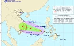 Bão cấp 10 tại biển Đông, từ Đà Nẵng đến Bình Thuận mưa rất to