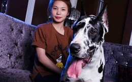 Nữ sinh Sư phạm bỏ gần trăm triệu “săn” chó cảnh