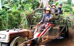 Những bóng hồng lái xe công nông