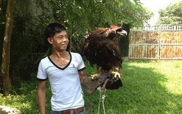 Tin kinh tế 2/6 - 8/6: Đại gia Hà Nội nuôi đại bàng chục ngàn đô