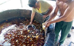 Dưa chuột, thịt lợn đóng hộp chứa dầu ăn "bẩn" nhập vào Việt Nam