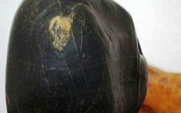 Viên đá cảnh trị giá tiền tỷ bị đánh cắp đáng ngờ