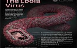 Rợn người hình ảnh chết chóc ở tâm đại dịch Ebola