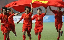 Điểm lại sự kiện của bóng đá Việt trong năm 2013