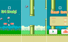 Website danh tiếng thế giới xin lỗi "cha đẻ" Flappy Bird