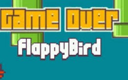 “Nếu chỉ vì thuế và bản quyền thì không nên gỡ Flappy Bird”