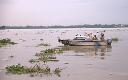 Xác người đàn ông phân hủy trên sông Nhà Bè