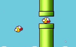 Một đại biểu Quốc hội muốn gặp "cha đẻ" Flappy Bird