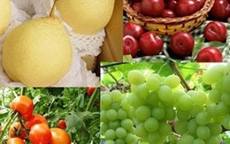 Bộ trưởng Bộ Công thương lý giải việc hàng TQ ngập thị trường