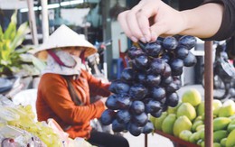 Trung Quốc tuồn nho, chanh, táo... nhiễm độc vào Việt Nam